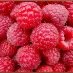 framboises